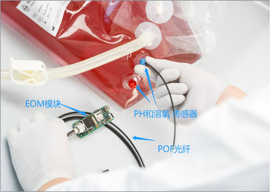 1784085459688317.jpg 图片8.jpg